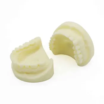 Tooth Prepared Practice Dental Model, Medical Science Educational Teaching Anatomical Models
Tooth Prepared Practice Dental Model, Medical Science Educational Teaching Anatomical Models