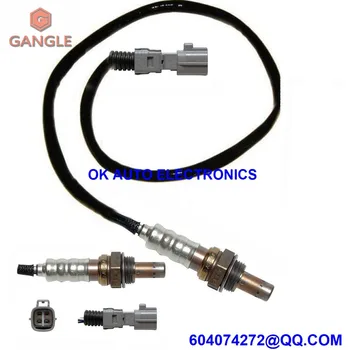 Oxygen Sensor Lambda AIR FUEL RATIO O2 sensor for TOYOTA SIENNA 234-4537 2344537 2011-2013
Oxygen Sensor Lambda AIR FUEL RATIO O2 sensor for TOYOTA SIENNA 234-4537 2344537 2011-2013