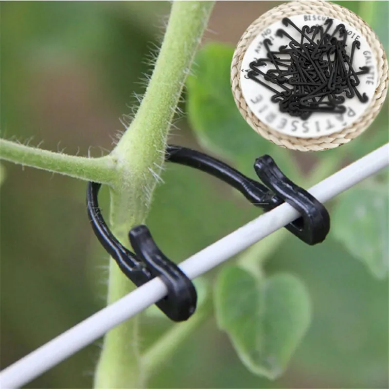50PCS Vines Fastener Tied Buckle Hook Plant Vegetable Grafting Clips Agricultural Greenhouse Supplies Cable Tie Free Shipping
50PCS Vines Fastener Tied Buckle Hook Plant Vegetable Grafting Clips Agricultural Greenhouse Supplies Cable Tie Free Shipping