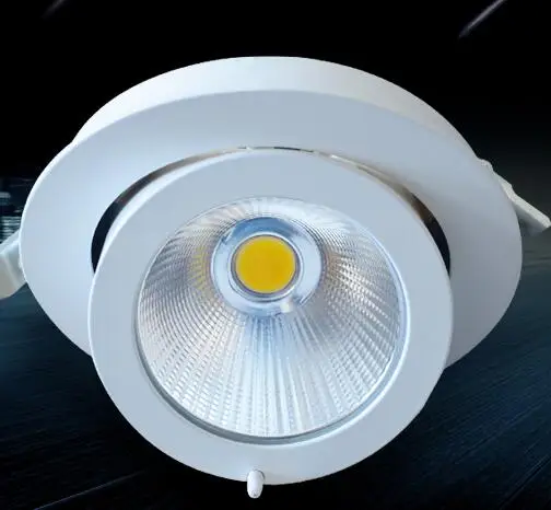 Free Shipping 15W/20W/30W LED Trunk Downlight AC85-265V Adjustable recessed Super Bright Indoor Light cob led downlight
Free Shipping 15W/20W/30W LED Trunk Downlight AC85-265V Adjustable recessed Super Bright Indoor Light cob led downlight