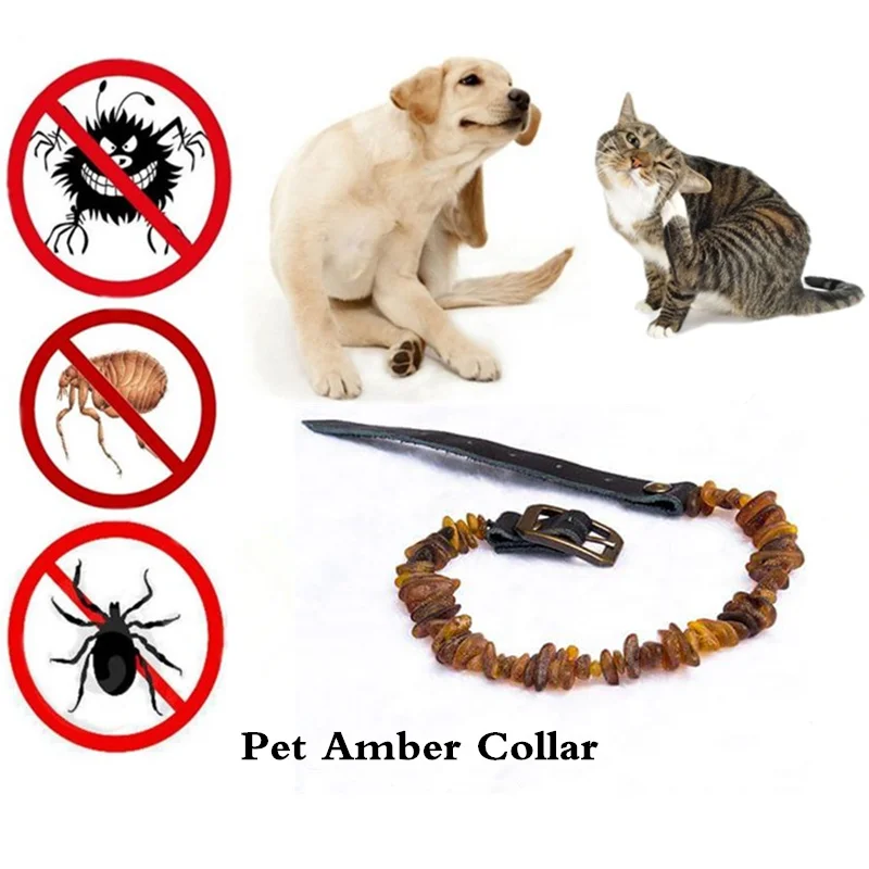 Noble Waterproof Amber Energy Collar Pet Dog Cat Deworming Anti-mosquitos ticks fleas Amber Stone Collar Necklace for Small Pet
Noble Waterproof Amber Energy Collar Pet Dog Cat Deworming Anti-mosquitos ticks fleas Amber Stone Collar Necklace for Small Pet