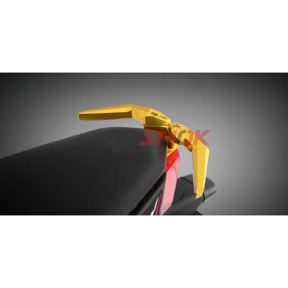Ninja 300 rear grab bar (1)1