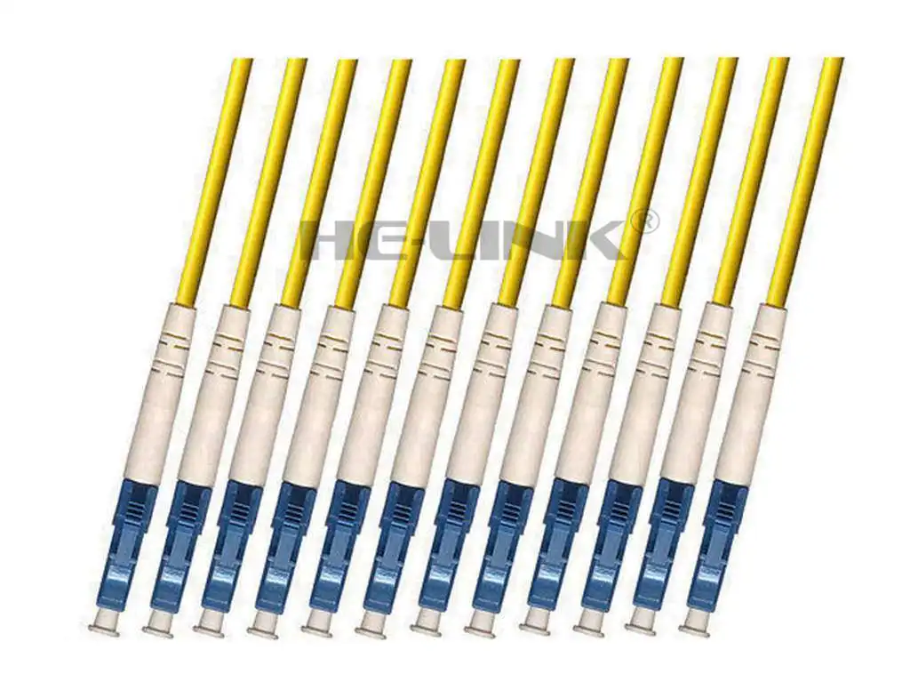 LODFIBER 500M LC-LC Indoor Armored Singlemode 12 Strands Fiber Optic Cable Patch Cord 9/125
LODFIBER 500M LC-LC Indoor Armored Singlemode 12 Strands Fiber Optic Cable Patch Cord 9/125