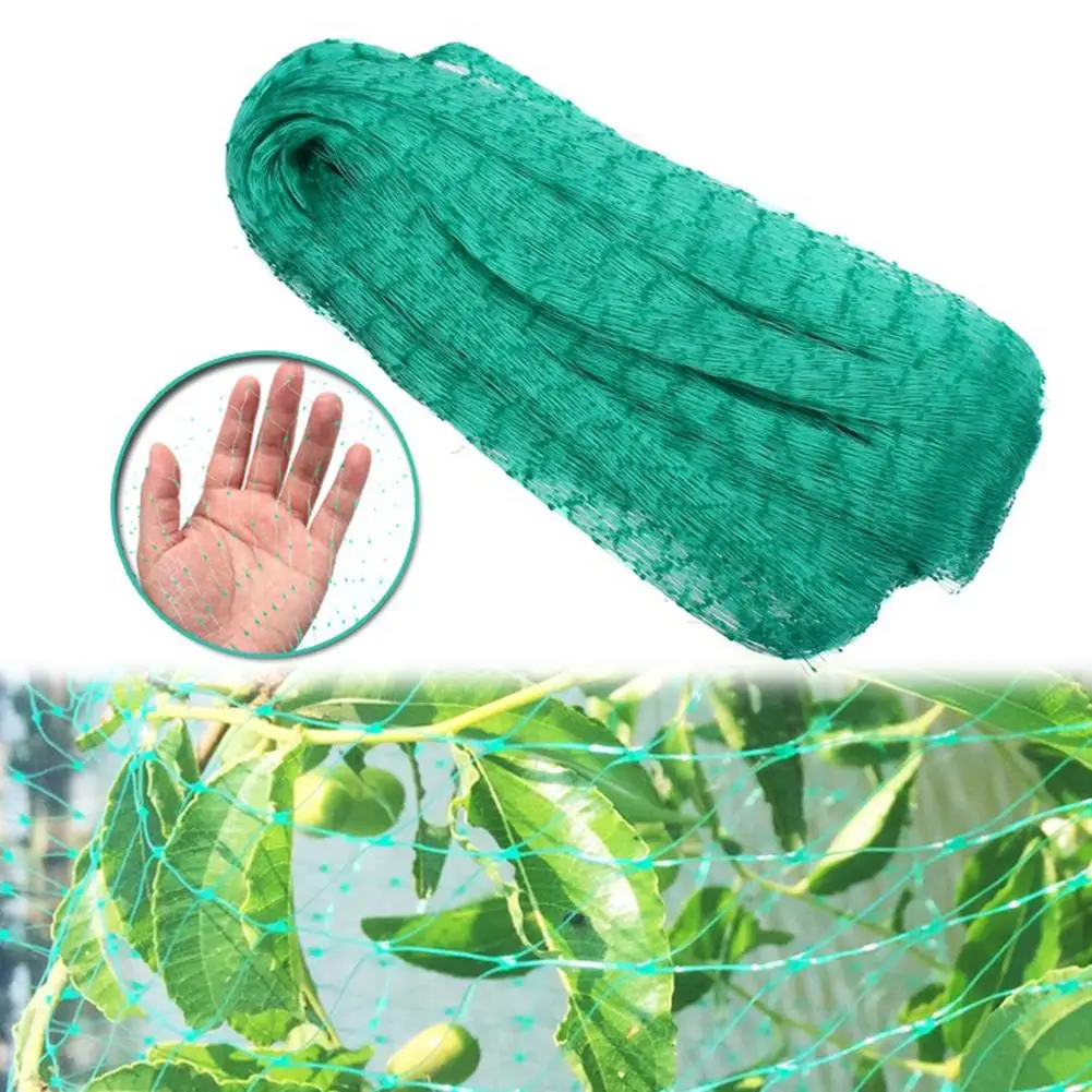 Anti Bird Protect Tree Net Fruit Crop Plant Garden Pond Cultivation Netting Mesh Garden Protect Pest Control
Anti Bird Protect Tree Net Fruit Crop Plant Garden Pond Cultivation Netting Mesh Garden Protect Pest Control