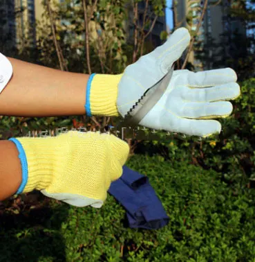 Pruning Tools Cut Resistant Short-Sleeve Gloves Kevlar Cowhide Strengthens High Temperature Manufacturing Protective Safety
Pruning Tools Cut Resistant Short-Sleeve Gloves Kevlar Cowhide Strengthens High Temperature Manufacturing Protective Safety