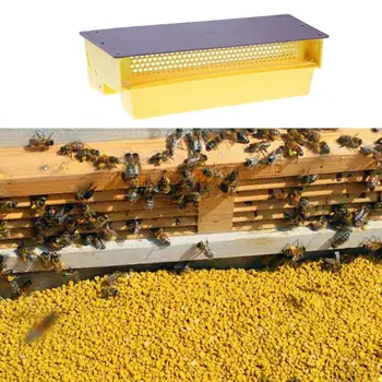 Beekeeping Tools Yellow Plastic Pollen Trap Multi-function Powder Remover Reusable Pollen Collector Bee Powder Box
Beekeeping Tools Yellow Plastic Pollen Trap Multi-function Powder Remover Reusable Pollen Collector Bee Powder Box