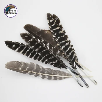 8-10 Inch(20-25 cm)Wholesale High Quality Natural Patterned Turkey Wings Feather for Decoration Accessories
8-10 Inch(20-25 cm)Wholesale High Quality Natural Patterned Turkey Wings Feather for Decoration Accessories