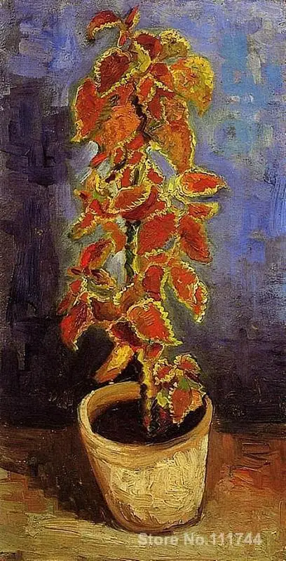 Ручная роспись на холсте Coleus завод в цветочный горшок Vincent Van Gogh картина для