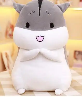 555