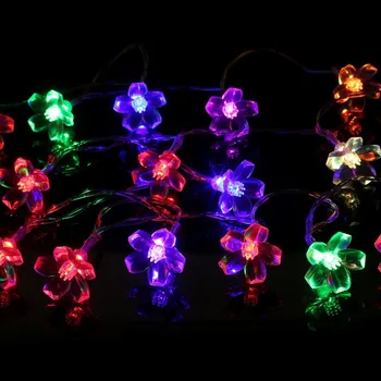 Plum Flower LED Christmas Lights AA Battery Operated 1.2M 2.2M Holiday Wedding Decoration String Fairy Lights Garland
Plum Flower LED Christmas Lights AA Battery Operated 1.2M 2.2M Holiday Wedding Decoration String Fairy Lights Garland