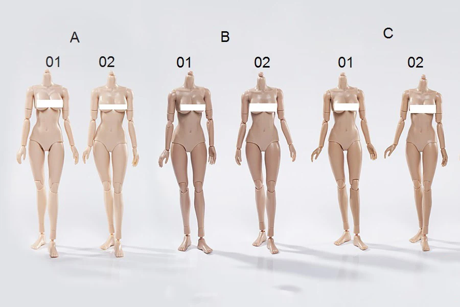 VERYCOOL 1:6 Scale Female Body Upgrade - Version 2.0 (Large & Medium Bust, 3 Colors)
VERYCOOL 1:6 Scale Female Body Upgrade - Version 2.0 (Large & Medium Bust, 3 Colors)