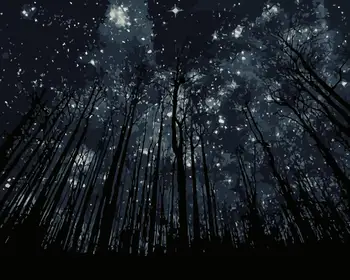 MaHuaf-j621 Beautiful Night Sky coloring by numbers on canvas paint by numbers kit on canvas wall pictures home decor
MaHuaf-j621 Beautiful Night Sky coloring by numbers on canvas paint by numbers kit on canvas wall pictures home decor