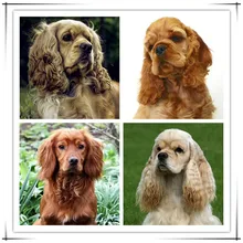 DIY 5D Full Diamond Painting Animal Dog Cross Stitch Diamond Mosaic Embroidery Needlework Rhinestone Gift Christmas ZT
DIY 5D Full Diamond Painting Animal Dog Cross Stitch Diamond Mosaic Embroidery Needlework Rhinestone Gift Christmas ZT
