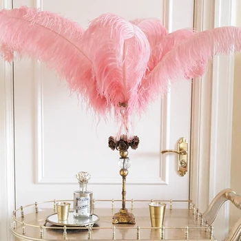29%,North European style Brass Cast iron glass Candlestick/ 1pc pink Natural ostrich feather DIY Home decorations
29%,North European style Brass Cast iron glass Candlestick/ 1pc pink Natural ostrich feather DIY Home decorations