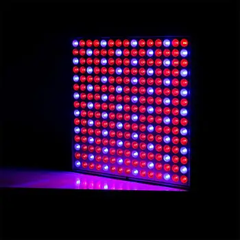 AKDSteel 45W 85-265V LED Red-blue Light Plant Grow Light for Indoor Garden Greenhouse Supplies
AKDSteel 45W 85-265V LED Red-blue Light Plant Grow Light for Indoor Garden Greenhouse Supplies