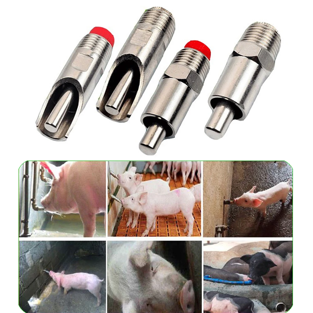 1pcs pig duckbilled nipple drinker stainless steel watering automatic waterer fountain fatten finisher weaner veterinary tools
1pcs pig duckbilled nipple drinker stainless steel watering automatic waterer fountain fatten finisher weaner veterinary tools