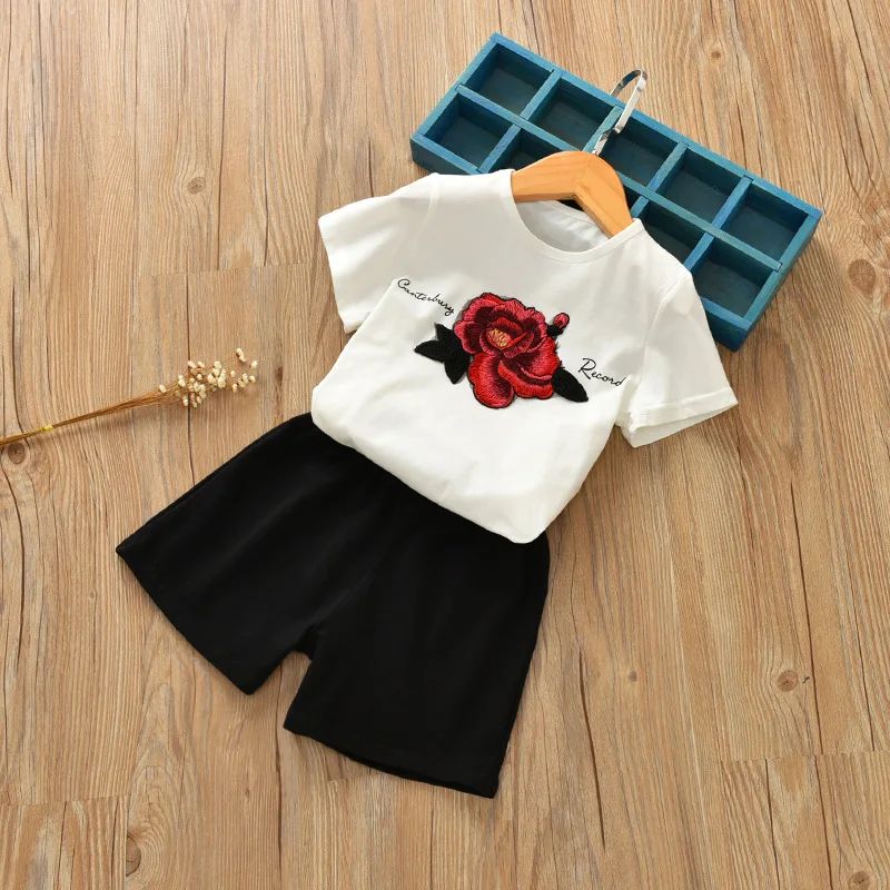 Fashion Summer Baby Girls Clothes Short Sleeve Floral Print T-shirt Tops+Shorts Suits Casual Costume Set
Fashion Summer Baby Girls Clothes Short Sleeve Floral Print T-shirt Tops+Shorts Suits Casual Costume Set