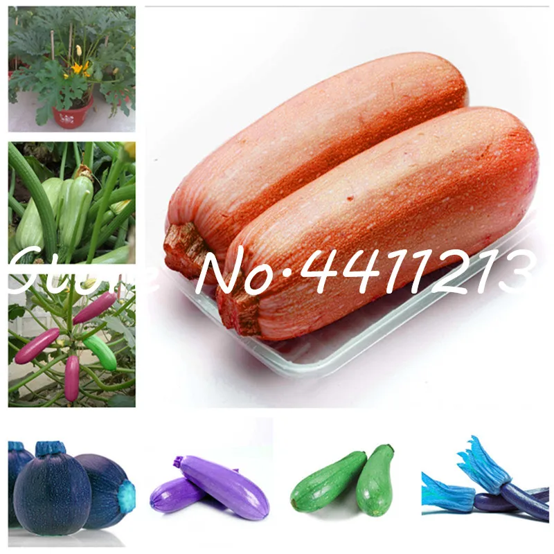 New Arrival 2018! Giant Pumpkin Bonsai Purple Squash Plants Bonsai Vegetable&Fruit tree for Home Garden 30 pcs Free Shipping
New Arrival 2018! Giant Pumpkin Bonsai Purple Squash Plants Bonsai Vegetable&Fruit tree for Home Garden 30 pcs Free Shipping