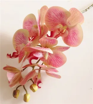 one Real Touch Orchid Flower Fake Pink Cymbidium PU 3D PLant Orchids Phalaenopsis Orchids for Artificial Decorative Flowers
one Real Touch Orchid Flower Fake Pink Cymbidium PU 3D PLant Orchids Phalaenopsis Orchids for Artificial Decorative Flowers
