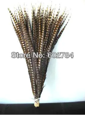 Free Shipping 20pcsslot 90-100cm natural Carnival Feathers Decor Side pheasant feather tail Lady Amherst Pheasant tail Feather
Free Shipping 20pcsslot 90-100cm natural Carnival Feathers Decor Side pheasant feather tail Lady Amherst Pheasant tail Feather