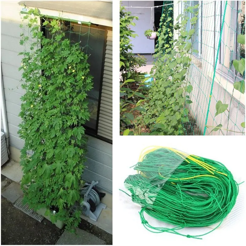 3pc Mesh 10*10cm Nylon Net Climbing Fruit Plants Supports Grape Vine Holder Bracket Beans Plants Climbing Net Holder
3pc Mesh 10*10cm Nylon Net Climbing Fruit Plants Supports Grape Vine Holder Bracket Beans Plants Climbing Net Holder