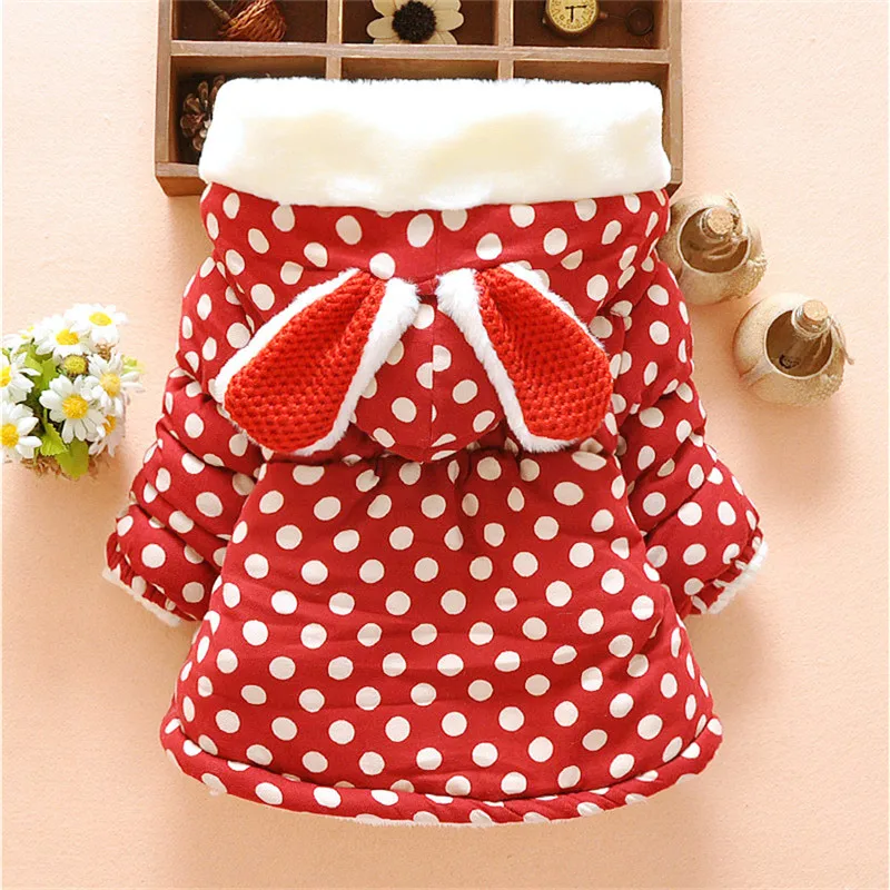 2423301400_128607065