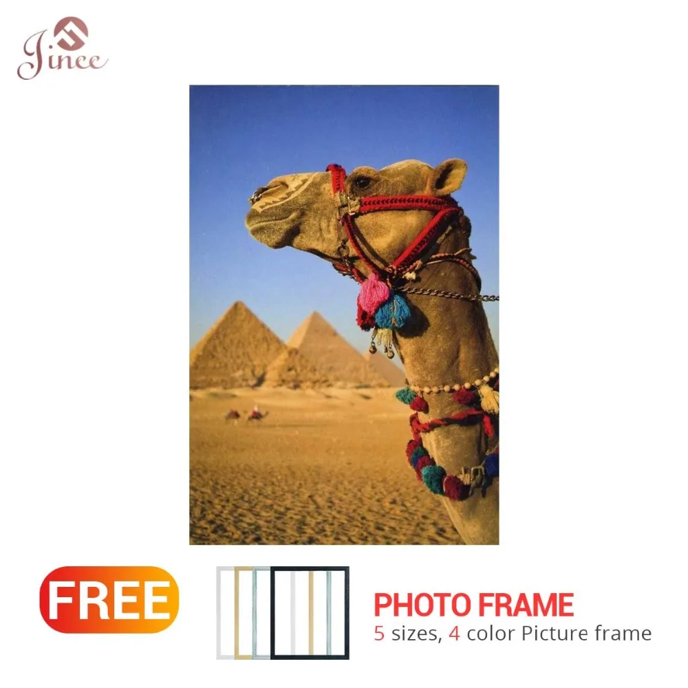 5D Diy Diamond Painting Camel Embroidered Rhinestones Round Square Animal Daimond Painting Wall Art Decoration
5D Diy Diamond Painting Camel Embroidered Rhinestones Round Square Animal Daimond Painting Wall Art Decoration