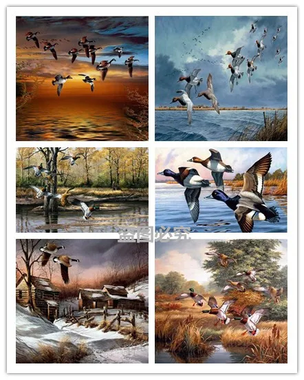 5D DIY Diamond Painting Bird Flower Horse Cross Stitch Landscape Needlework Home Decorative 3D Square Full Diamond Embroidery
5D DIY Diamond Painting Bird Flower Horse Cross Stitch Landscape Needlework Home Decorative 3D Square Full Diamond Embroidery