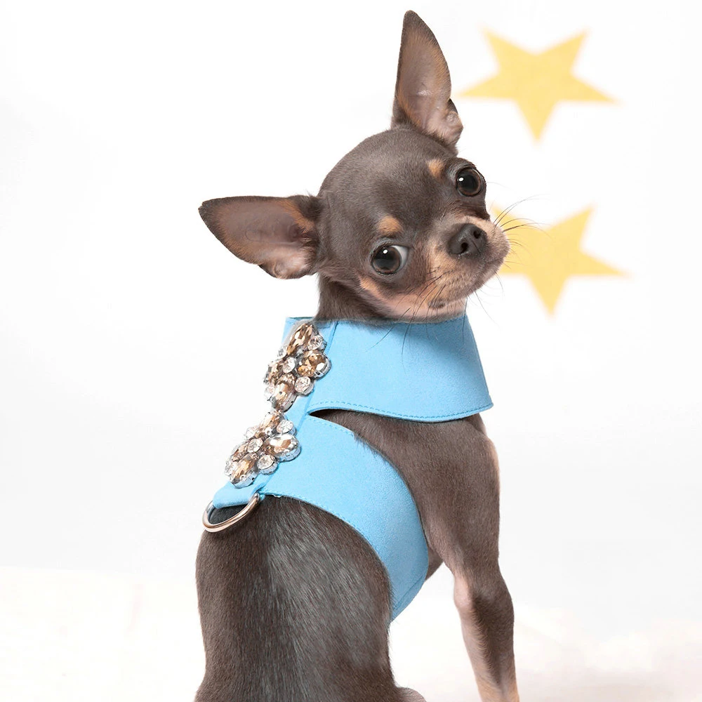 Luxury Fashion Dog Harness Glow Girl Pet Harnesses And Leash Set Small Medium Cat Outdoor Collar Accessories Costume Bulldog
Luxury Fashion Dog Harness Glow Girl Pet Harnesses And Leash Set Small Medium Cat Outdoor Collar Accessories Costume Bulldog