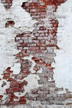 Special Design Brick Wall Art Photo Backgrounds Digital Printing Photography Backdrops Vinyl
Special Design Brick Wall Art Photo Backgrounds Digital Printing Photography Backdrops Vinyl