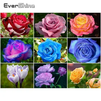EverShine 5D Diamond Painting Full Drill Square Flowers Diamond Mosaic Rose Cross Stitch Diamonds Art Handwork Bead Picture Kits
EverShine 5D Diamond Painting Full Drill Square Flowers Diamond Mosaic Rose Cross Stitch Diamonds Art Handwork Bead Picture Kits