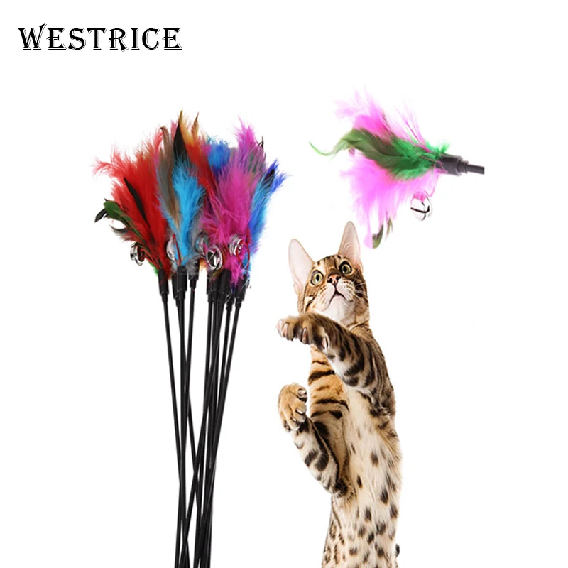 Westrice Long Rod Pets Toy Fashion Cat Play Feather Teaser Small Feather Stick Funny Cat Toys Pet Toys Dog Toy 10
Westrice Long Rod Pets Toy Fashion Cat Play Feather Teaser Small Feather Stick Funny Cat Toys Pet Toys Dog Toy 10