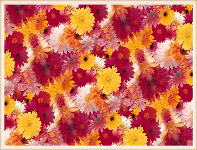 2016 Diy Diamond Painting flowers 3D Rhinestone Cross Stitch Kits FULL SQUARE Diamond Embroidery Needlework Set Home Decor
2016 Diy Diamond Painting flowers 3D Rhinestone Cross Stitch Kits FULL SQUARE Diamond Embroidery Needlework Set Home Decor