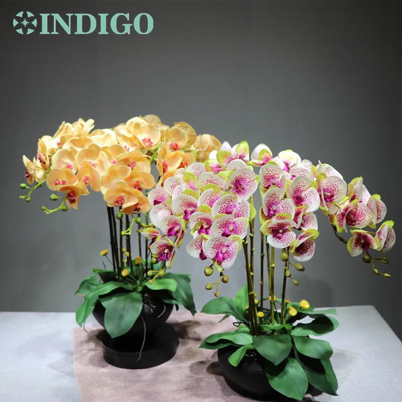 INDIGO - 3D Printing Petal Phalaenopsis Champagne Orchids (7 Flowers/Stem) Silk Flower Wedding Flower Floral Party Free Shipping
INDIGO - 3D Printing Petal Phalaenopsis Champagne Orchids (7 Flowers/Stem) Silk Flower Wedding Flower Floral Party Free Shipping