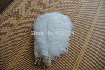 Free Shipping-100pcs 14-16inch(35-40cm) Highest Quality Ostrich Feather ,wedding decoraction,table centerpieces
Free Shipping-100pcs 14-16inch(35-40cm) Highest Quality Ostrich Feather ,wedding decoraction,table centerpieces
