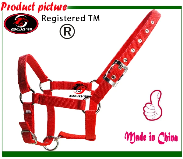 Free shipping horse halter 6MM thick 25MM wide PP webbing silver color metal fittings.(RLT2001) | Спорт и развлечения