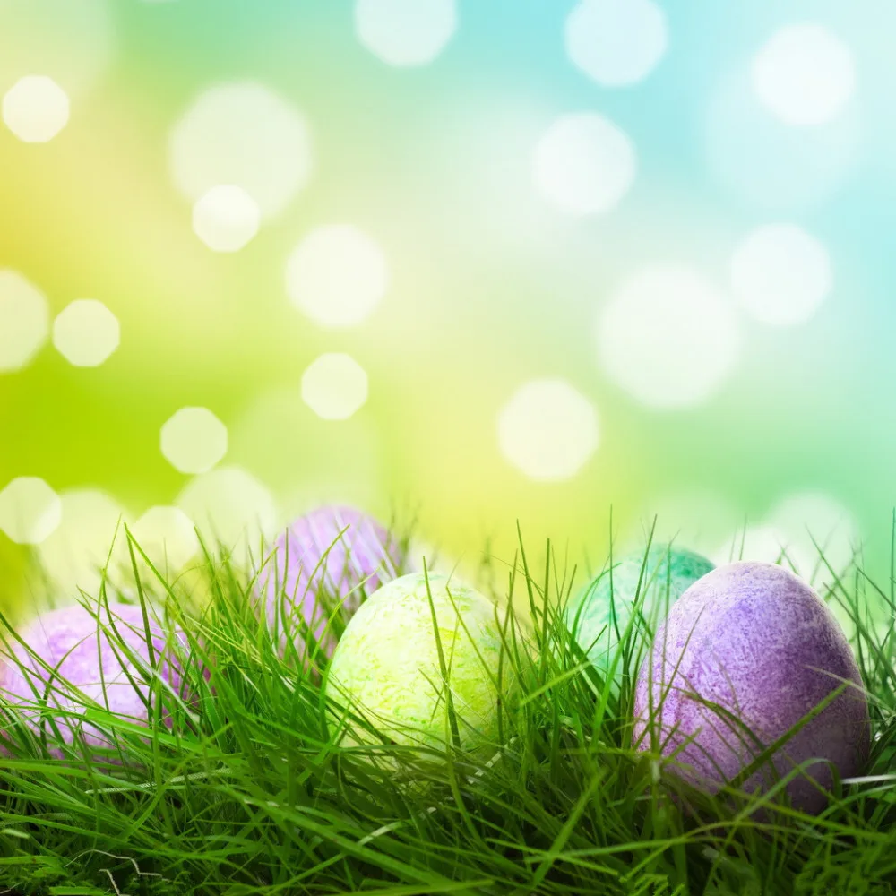 SHENGYONGBAO 10X10FT Easter theme Vinyl Photography Backdrop Prop Photo Studio Backgrounds FH-307
SHENGYONGBAO 10X10FT Easter theme Vinyl Photography Backdrop Prop Photo Studio Backgrounds FH-307