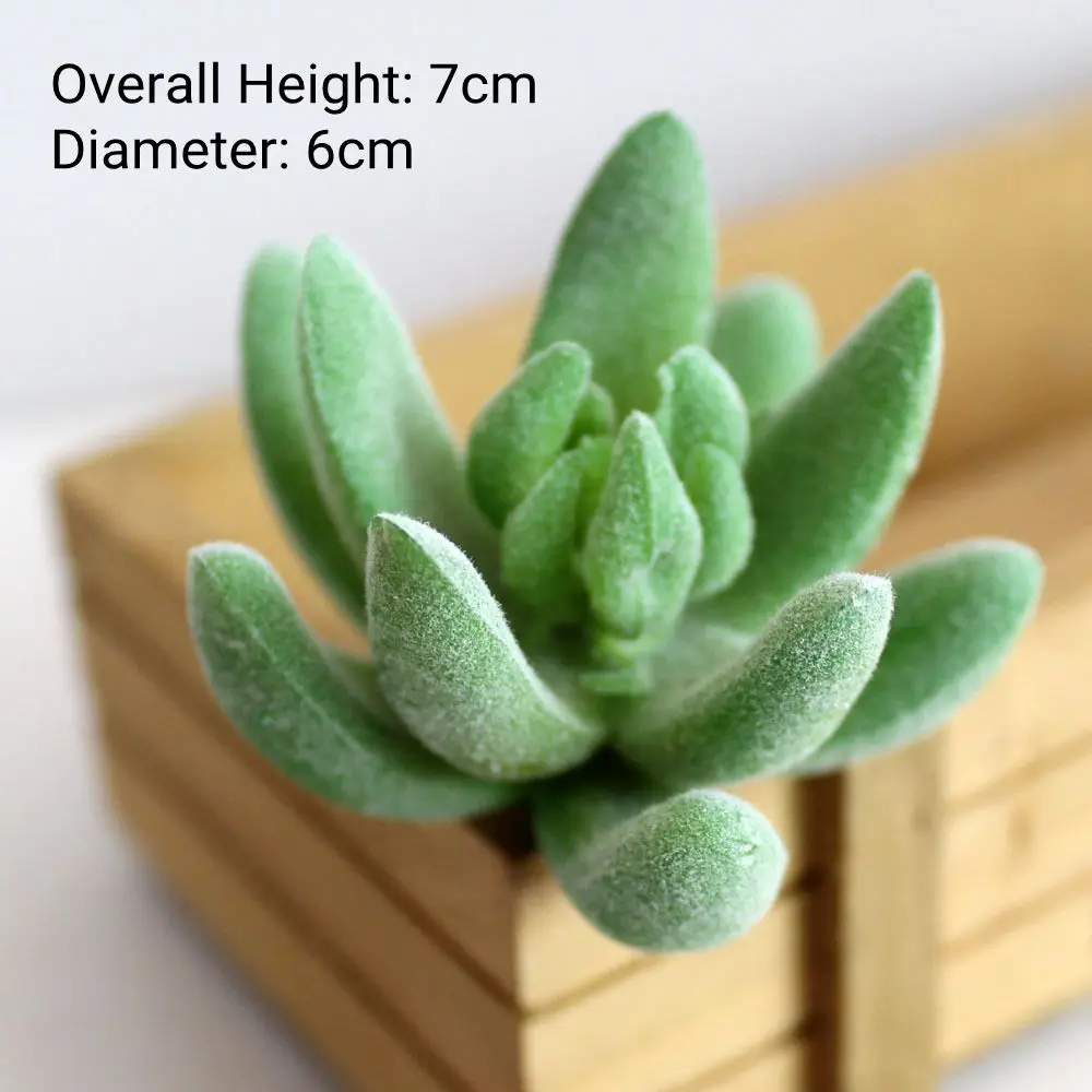 Green Artificial Succulents - Flocking Home Garden Decoration