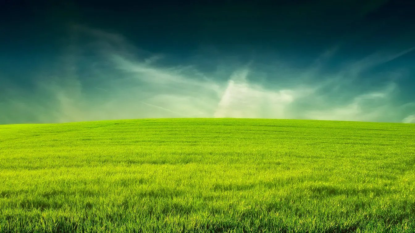 

Green Grass photo backdrop High quality Computer print wedding photography backgrounds