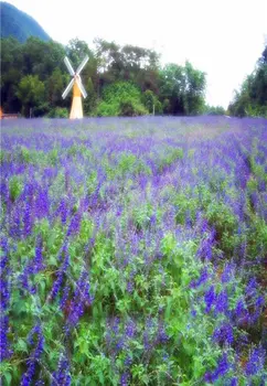 LIFE MAGIC BOX Lavender 150x200cm Custom Photo Backdrops Photo Prop Background scenic photography backdrops N10257
LIFE MAGIC BOX Lavender 150x200cm Custom Photo Backdrops Photo Prop Background scenic photography backdrops N10257