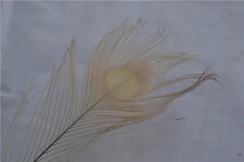 FREE SHIPPING -Wholesale 100 pcs/lot 10-12inch off white peacock feathers peacock eye feathers for crafts decor weddings
FREE SHIPPING -Wholesale 100 pcs/lot 10-12inch off white peacock feathers peacock eye feathers for crafts decor weddings