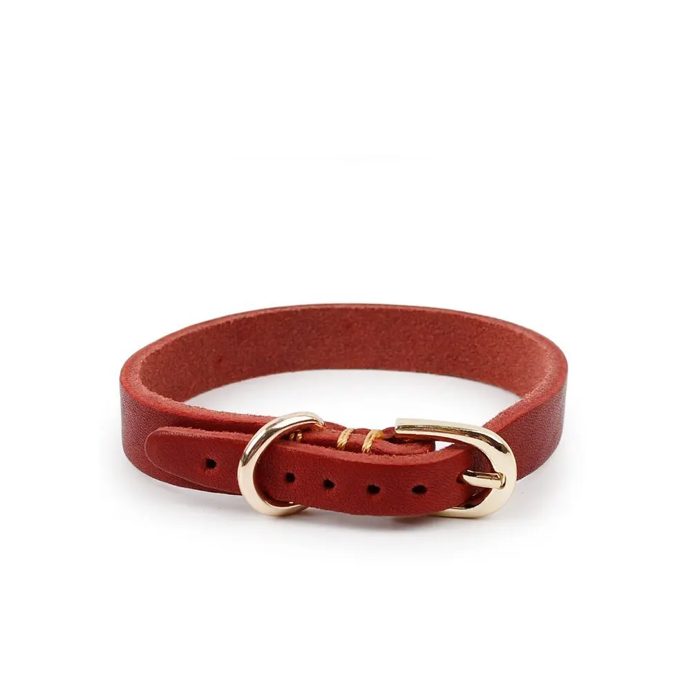 Retail Pet Collars Luxury Genuine Leather Plain Pet Dog Puppy Collar for Small and Medium Dogs
Retail Pet Collars Luxury Genuine Leather Plain Pet Dog Puppy Collar for Small and Medium Dogs