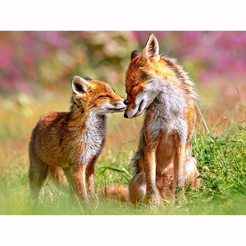 DIY Diamond Painting Kiss Foxes Full Drill Rhinestone cross stitch kits handmade embroider Crafts love gift
DIY Diamond Painting Kiss Foxes Full Drill Rhinestone cross stitch kits handmade embroider Crafts love gift