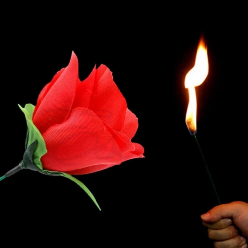 Magic Toys 50pcs Novelty Stage Close Up Magic Trick Torch Rose to Fire Tricks Flame Flower YH151
Magic Toys 50pcs Novelty Stage Close Up Magic Trick Torch Rose to Fire Tricks Flame Flower YH151