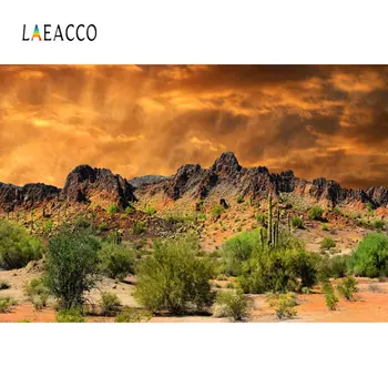 Laeacco Natural Cactus Mountain Shrub Desert Aurora Scenic Photography Backgrounds Photographic Backdrops For Photo Studio
Laeacco Natural Cactus Mountain Shrub Desert Aurora Scenic Photography Backgrounds Photographic Backdrops For Photo Studio
