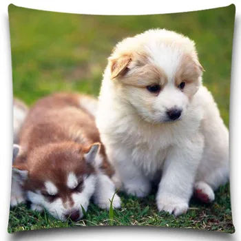 Cute Dog Natural Design Colorful Animal Cushion Cover Cotton Polyester Pillow Case Home Decor 5 Size 9 style to Choose
Cute Dog Natural Design Colorful Animal Cushion Cover Cotton Polyester Pillow Case Home Decor 5 Size 9 style to Choose