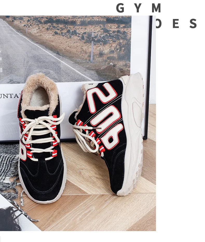 9543247669_1244332661