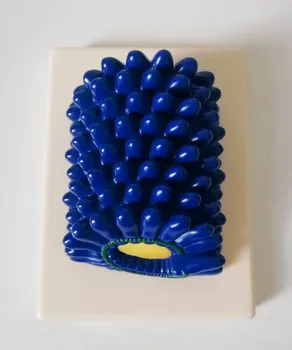 Rod-shaped rabies virus model cell submicroscopic structure model science and education instrument
Rod-shaped rabies virus model cell submicroscopic structure model science and education instrument