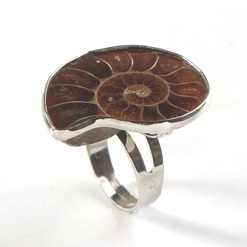 xinshangmie Unique Design Silver Plated Adjustable Irregular Shape Ring Natural Ammonite Reliquiae Ring Fashion Jewelry
xinshangmie Unique Design Silver Plated Adjustable Irregular Shape Ring Natural Ammonite Reliquiae Ring Fashion Jewelry