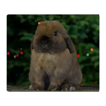 Christmas Bunny Soft Fleece Throw Blanket Blanket Fleece Blanket Sofa/Bed/Plane Travel Plaids Bedding Towel
Christmas Bunny Soft Fleece Throw Blanket Blanket Fleece Blanket Sofa/Bed/Plane Travel Plaids Bedding Towel